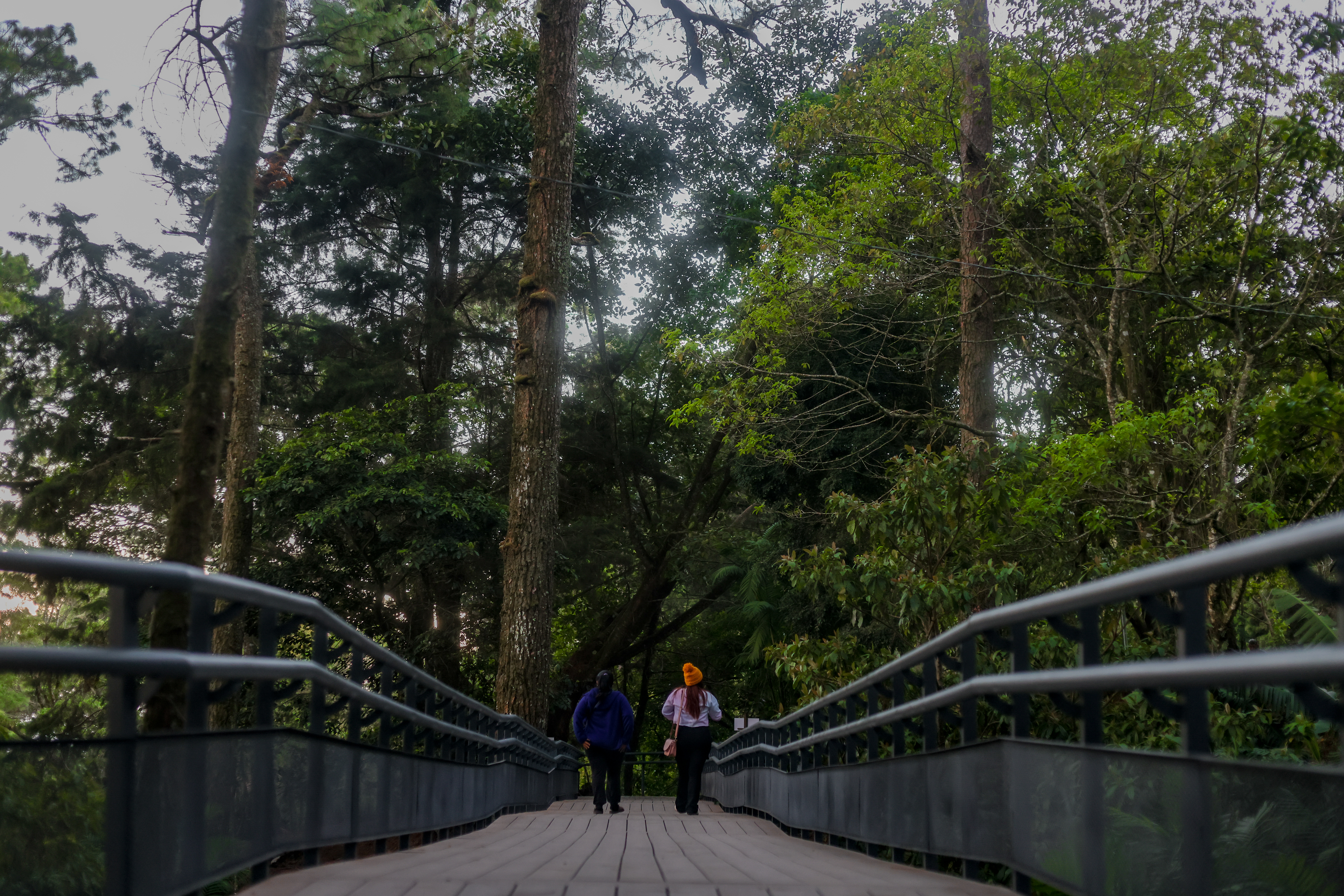 Photo from Parque Nacional El Boquerón